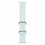Часы Apple Watch Ultra 2 2024 Cellular, 49 мм, корпус из титана натурального цвета, ремешок Ocean band цвета «голубой лёд» (MYT03+MXTF3)
